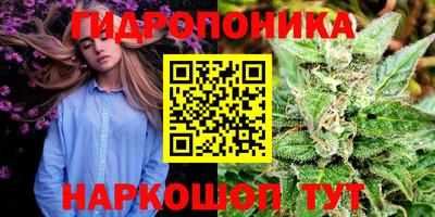 ALPHA PVP Канаш