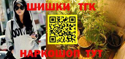 spice Камышлов