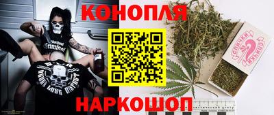 spice Камышлов