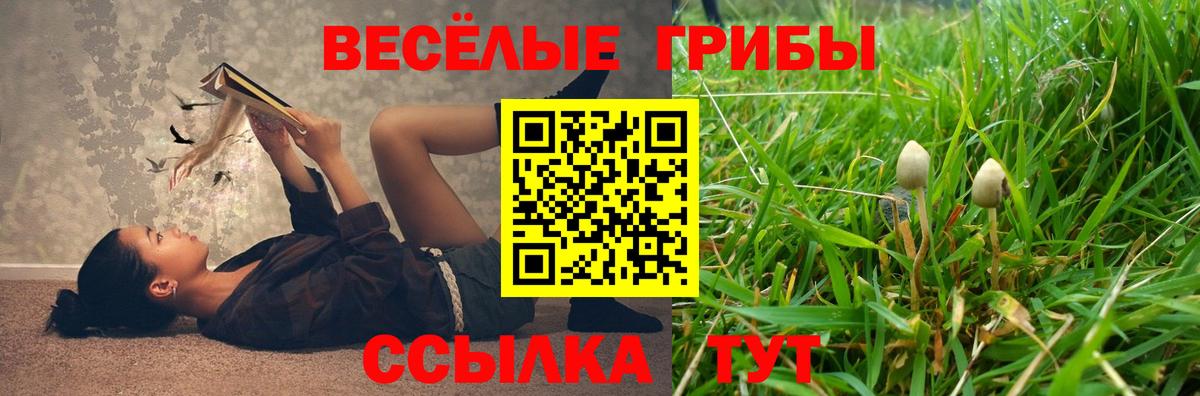 Псилоцибиновые грибы GOLDEN TEACHER Ханты-Мансийск